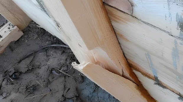 Доски вместо фанеры: ошибка старта