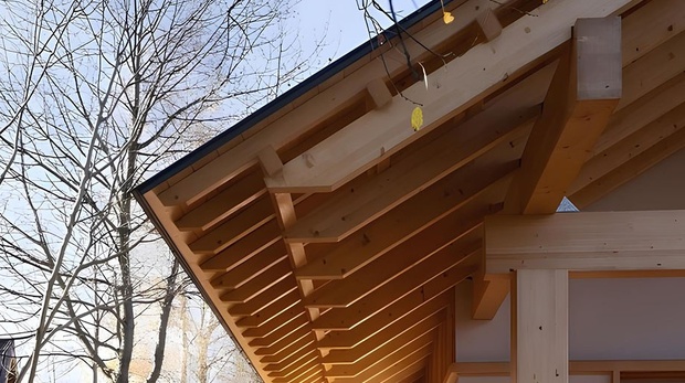 Правильная защита каркасного дома от мышей и крыс