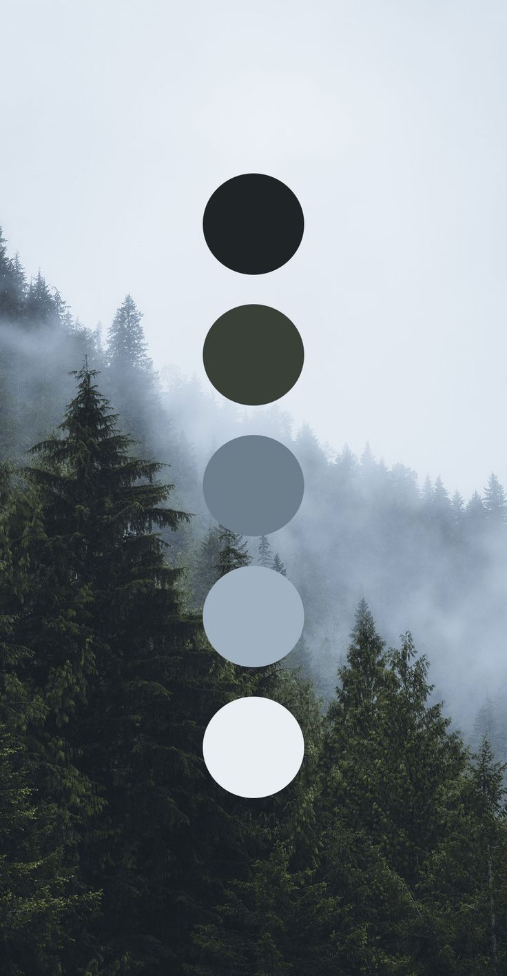 Колористическая схема в холодных тонах №50