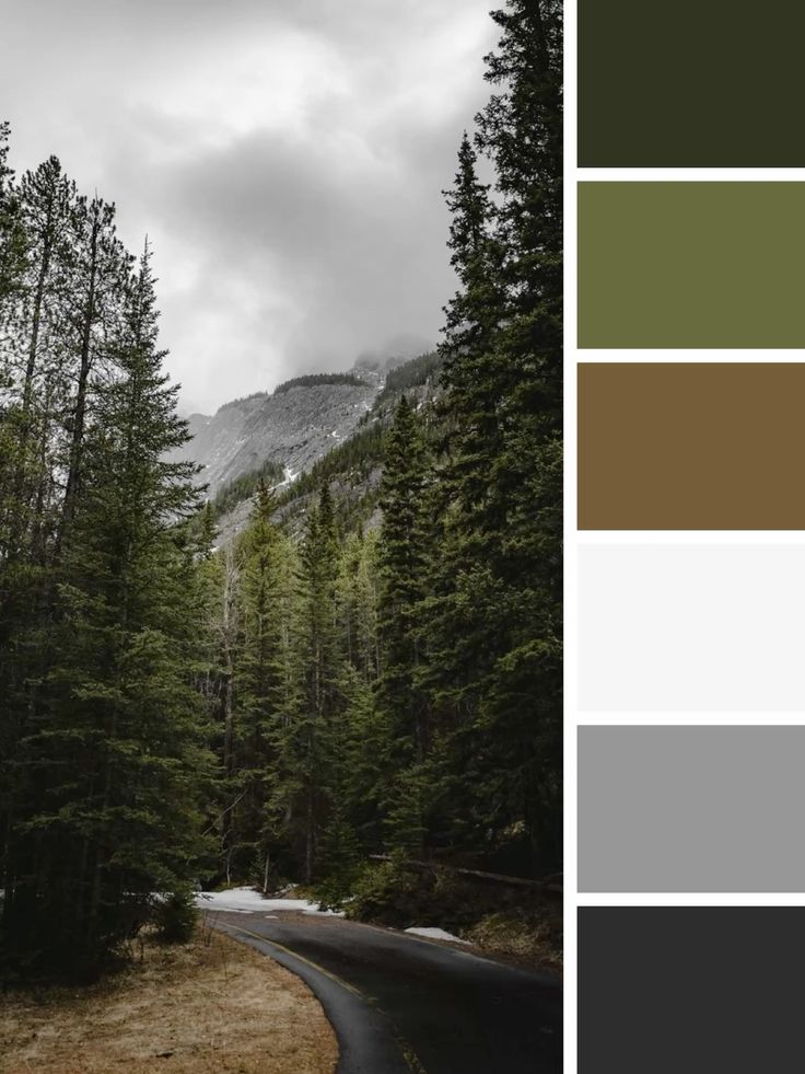 Красивое сочетание оттенков зеленого и серого №58