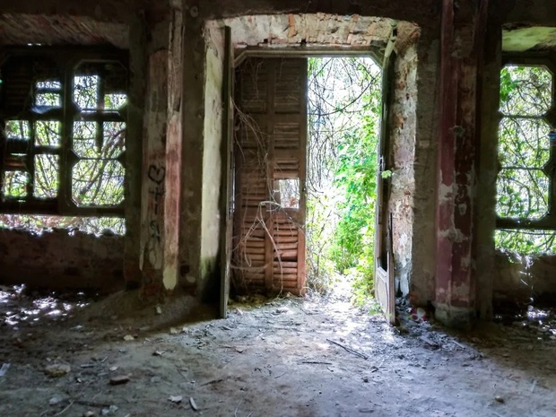 Природа неумолимо возвращает свою территорию