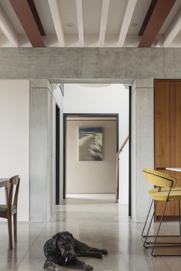 Замечательный пёс в интерьере