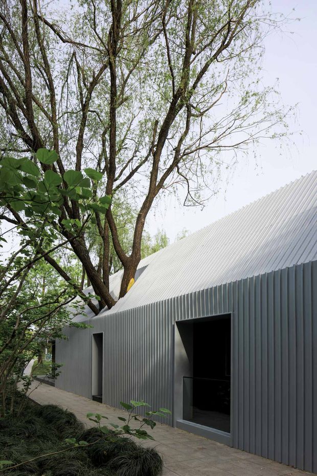 Дерево как часть здания - пример успешной архитектурной интеграции и заботы об экологии